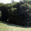 2002-07-20-Pano-Mont-Beuvray