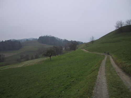 143-4361-Hiking-dir-Hergiswil.jpg